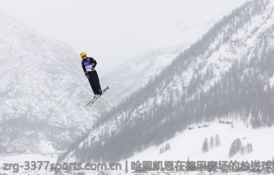 哈里凯恩在德甲赛场的总进球数全景分析